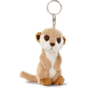 71jtiawkrpl__ac_sy606_